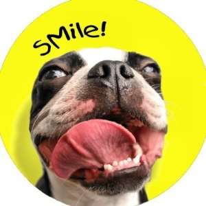  Boston Terrier Smile Magnet