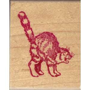  Angry Cat Rubber Stamp   2 x 1.5 inches Arts, Crafts 