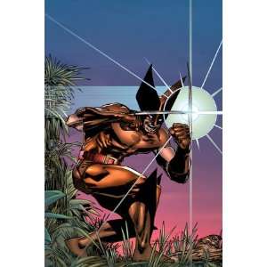 Marvel Comics Presents Wolverine #1 Cover Wolverine by Walt Simonson 