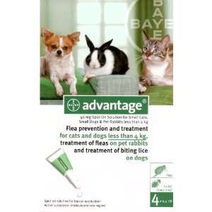  Advantage Green 4 Pack Small Dogs, Cats: Pet Supplies