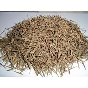  500 fresh seed Phyllostachys pubescens MOSO BAMBOO Patio 
