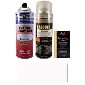   Spray Can Paint Kit for 1966 Chevrolet Truck (521 (1966)): Automotive