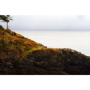  Meditation, Orcas Island, San Juan Islands Washington 