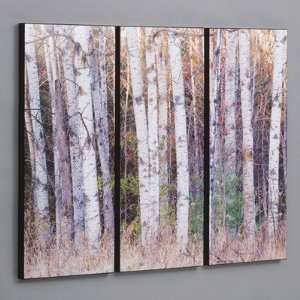 Three Piece Birch Trees in the Fall Laminated Framed Wall Art Set   36 