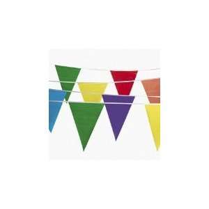  300 Foot Multicolor Pennant Banner: Everything Else