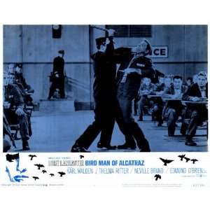  The Bird Man of Alcatraz Movie Poster (11 x 14 Inches 