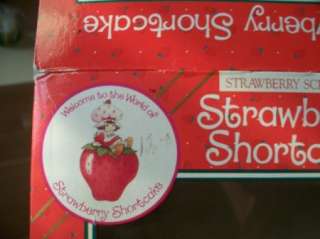 Vintage STRAWBERRY SHORTCAKE 13 RAG DOLL Strawberry Scented MIB So 