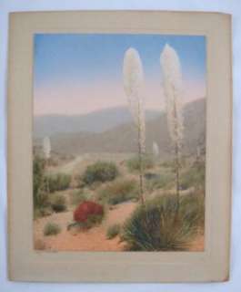 Antique Hand Painted Desert Yucca Photograph  
