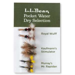  L.L.Bean Pocket Water Dry Selection