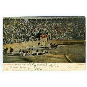 1906 Dragging Dead Bull from Bull Ring Postcard Mexico 