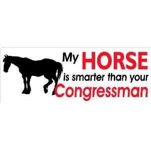   smarter than your congressman rodeo bumper sticker 7x21/2: Automotive