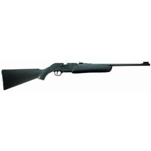  Daisy Outdoor Products 901 Gun (Black, 37.5 Inch): Sports 