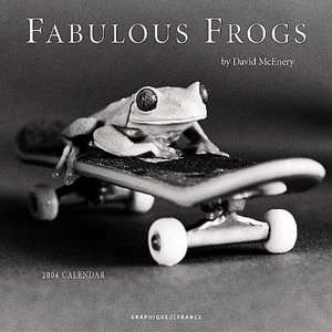   2004 Fabulous Frogs Wall Calendar by Graphique De 