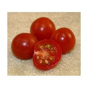   Tomato   Washington Cherry Tomato Organic Seeds Patio, Lawn & Garden