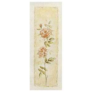  Garden Delight Rose    Print