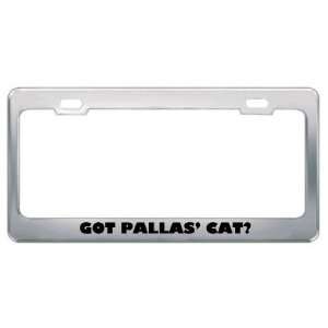 Got Pallas Cat? Animals Pets Metal License Plate Frame Holder Border 
