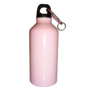 Pink 20oz Stainless Steel Reusable Water Bottle w/ Hiking Clip:  