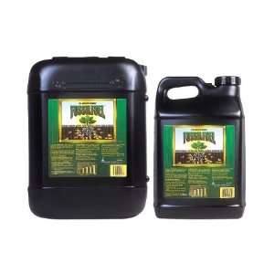  Fossil Fuel Special Order 732230 FOSSIL FUEL 2.5 GALLON (2 
