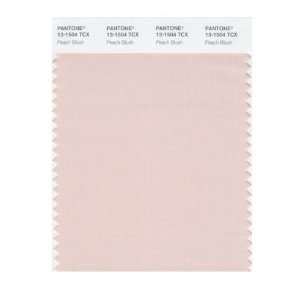  PANTONE SMART 13 1504X Color Swatch Card, Peach Blush 