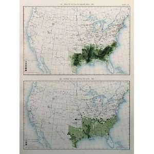  Yield of Cotton Per Square Mile and Average Yield of 