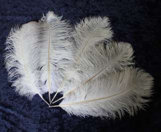 10 Grade B 14 16 White Ostrich Drab Plume Feather Wedding Centerpiece 