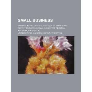 Small business efforts to facilitate equity capital formation report 