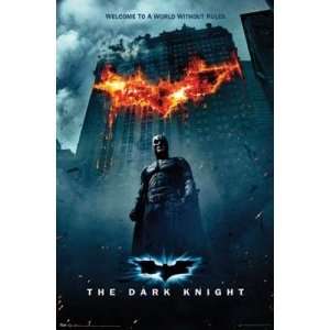  Batman   The Dark Knight   Movie Poster 22 X 34 