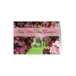   Grandmother, Lamb Feeds on Green Grass Behind Pink Apple Blossoms Card