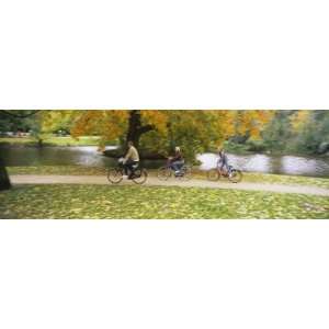  People Riding Bicycles in a Park, Vondelpark, Amsterdam 