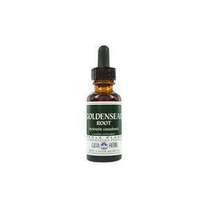 Goldenseal Root   Tonifies the Mucous Tissues of the Respiratory, GI 