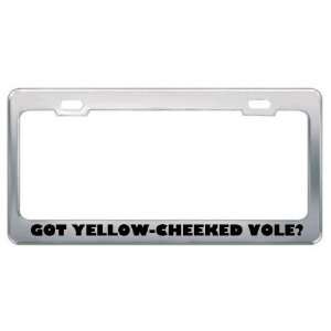 Got Yellow Cheeked Vole? Animals Pets Metal License Plate Frame Holder 