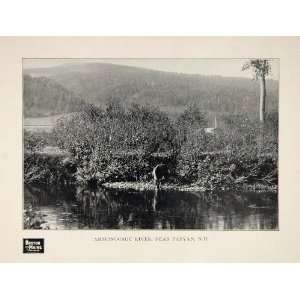  1903 Ammonoosuc River Fabyan New Hampshire B/W Print 