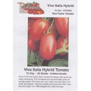  Viva Italia Hybrid Tomato   45 Seeds   Red Paste: Patio 
