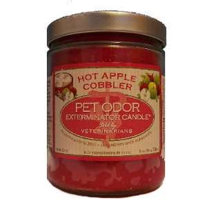   Jar Candle   Hot Apple Cobbler:  Home & Kitchen