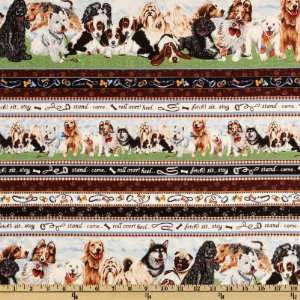  44 Wide Michele DAmore A Dogs Life Dog Stripes Multi 