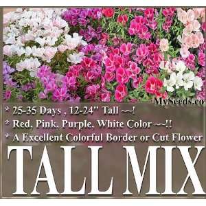   TALL MIX Flower Seeds red, pink, purple, white Patio, Lawn & Garden