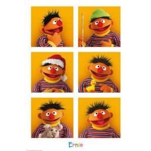   : Sesame Street   6 Ernies Poster   35.7x23.8 inches: Home & Kitchen