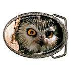 Owl Peeking From Tree Bird Animal Lover Belt Buckle