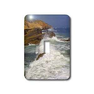 Florene Water landscape   Pacific Coastal Waves   Light Switch Covers 