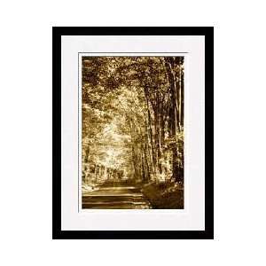Autumn Wood Road 4 Framed Giclee Print