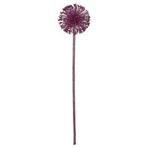   Torre & Tagus Allium Holiday Burst Single, Stem Purple: Home & Kitchen