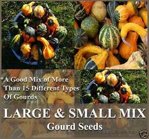 Gourds seeds   LARGE & SMALL MIX   15 DIFFERENT TYPES~~  