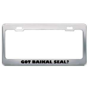 Got Baikal Seal? Animals Pets Metal License Plate Frame Holder Border 