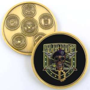    ARMY SPECIAL FORCES PHOTO CHALLENGE COIN YP398: Everything Else