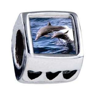 Dolphin Family Photo Heart European Bead Charm Fits All Pandora/troll 