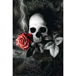  Gothic/Fantasy Posters Skull   Rose   91.5x61cm