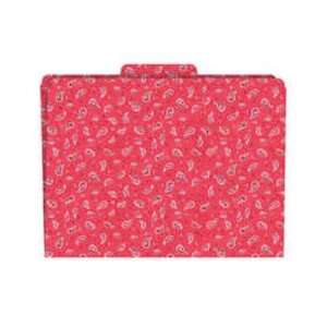   Barker Creek LAS1303F Functional File Folders Bandana