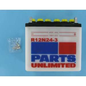  Parts Unlimited Economy Battery R12N243 