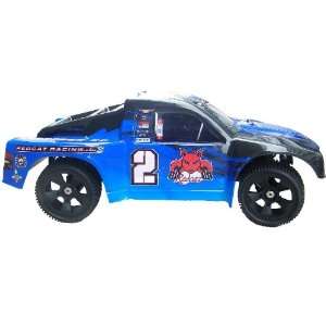   Scale ~ Brushless Electric ~ Short Course RC Truck ~ By Redcat Racing