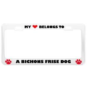  A Bichons Frise Dog Pet White Metal License Plate Frame 